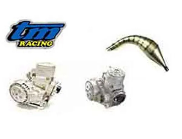 TM Motor