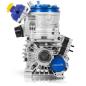 Preview: Motor IAME Parilla REEDSTER 4 (OK) Modell 2019