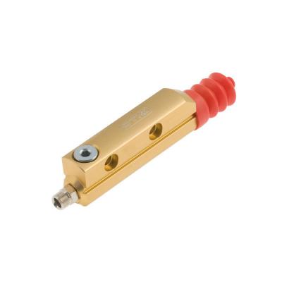 BSM brake pump