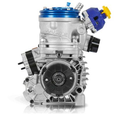 Motor IAME Parilla REEDSTER 4 (OK) Modell 2019