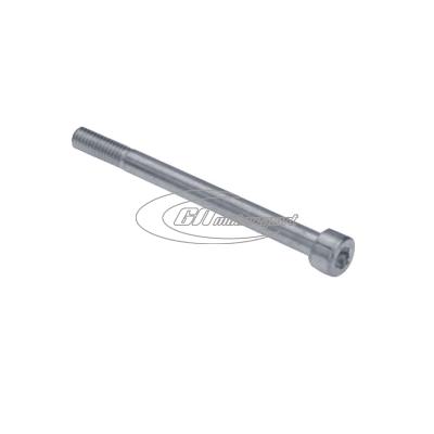 Befestigungsschraube hinten für Bremse BSM (Bremsscheibe 206x13 innenbelüftet)