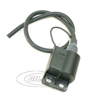 Ignition coil 2pol. "Water Swift"