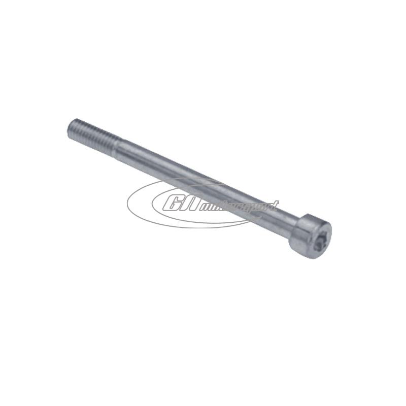 Befestigungsschraube hinten für Bremse BSM (Bremsscheibe 206x13 innenbelüftet)