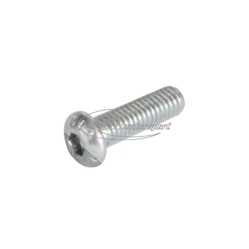 TB screw 8x30 mm