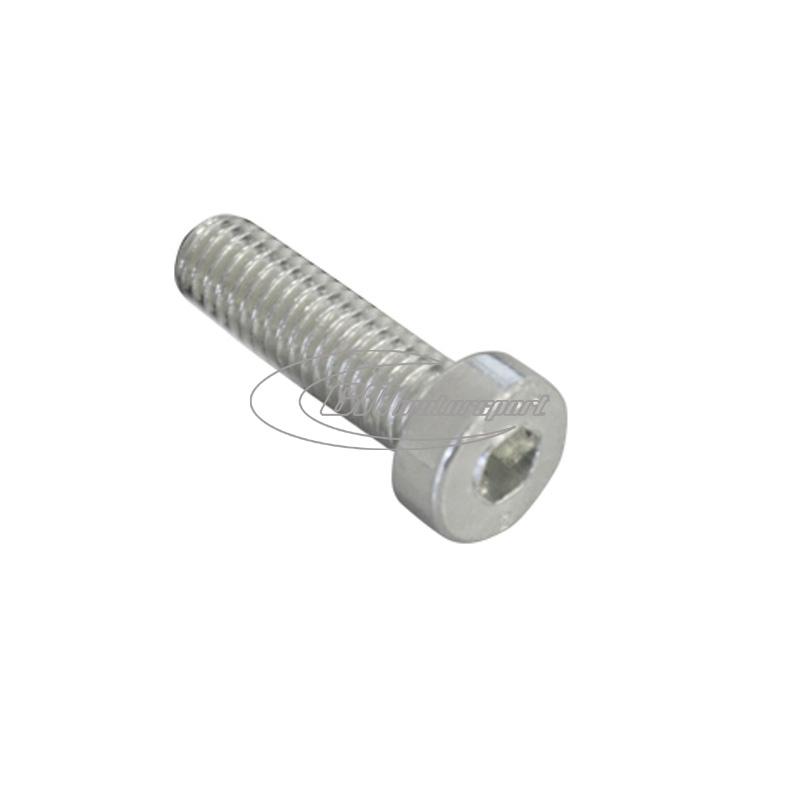 TCEI Cut allen screw 6x20 mm