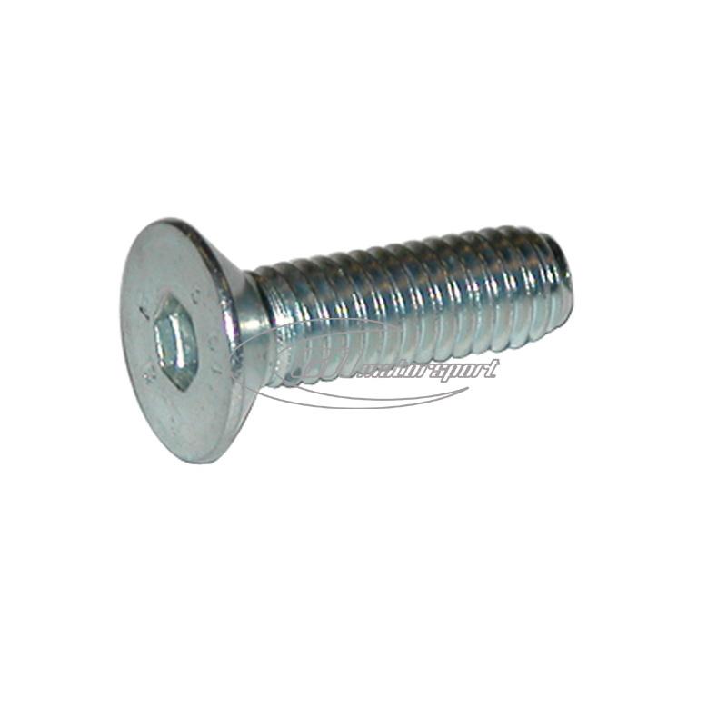 TPSCEI screw 6x20 mm