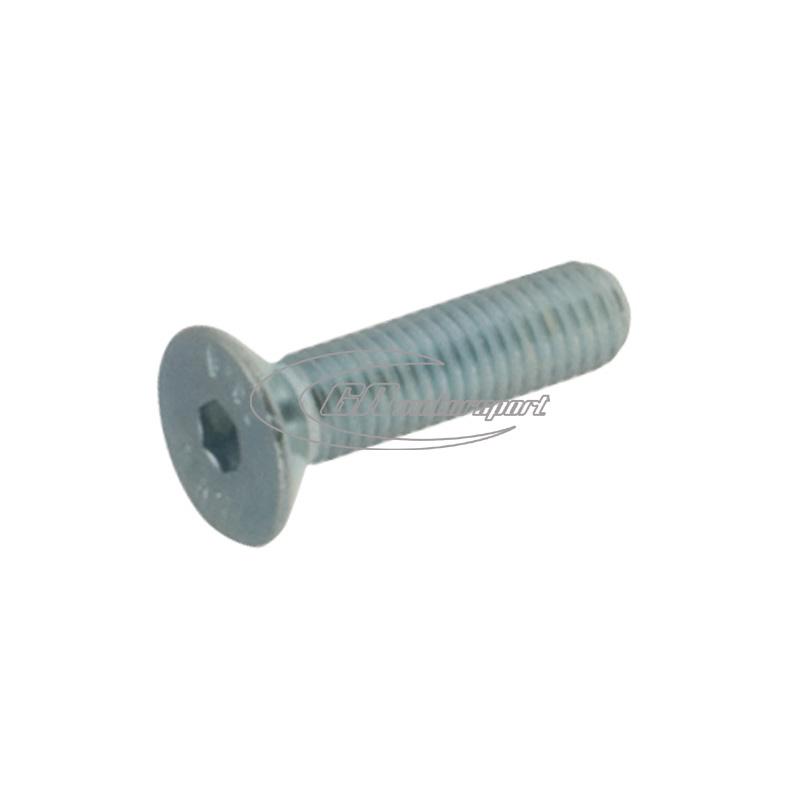TPSCEI screw 8x40 mm