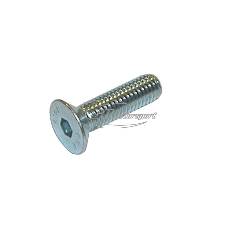 TPSCEI screw 8x55 mm