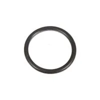 O-Ring Ansaugrohr f