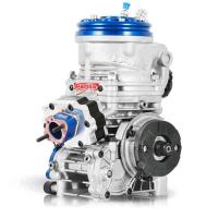 Motor IAME Parilla REEDSTER 4 (OKJ) Model